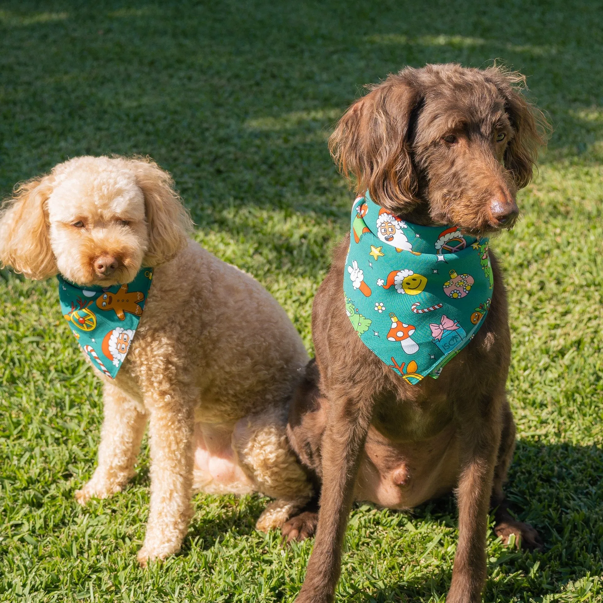 Holidaze - Christmas Dog Bandana